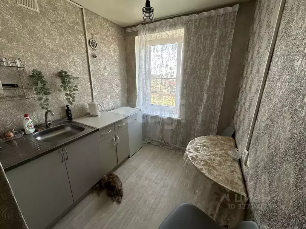 1-к кв. Адыгея, Майкоп Железнодорожная ул., 166/2 (21.9 м) - Фото 1