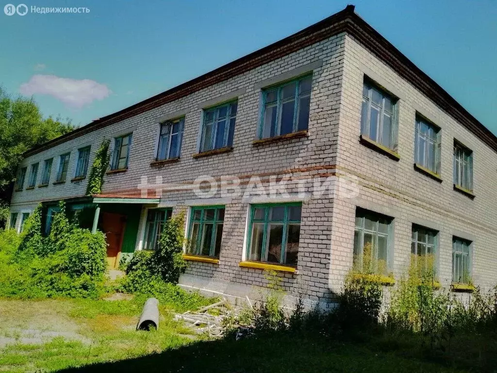 Помещение свободного назначения (300 м) - Фото 1