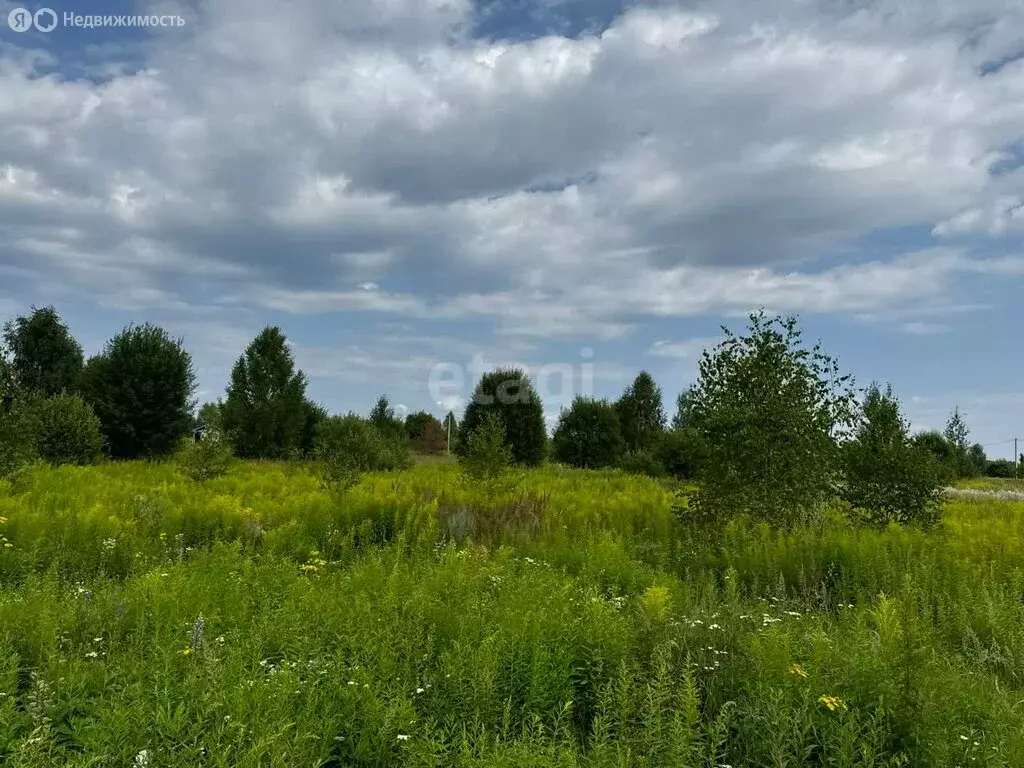 Участок в Нижегородская область, Городецкий муниципальный округ, ... - Фото 1