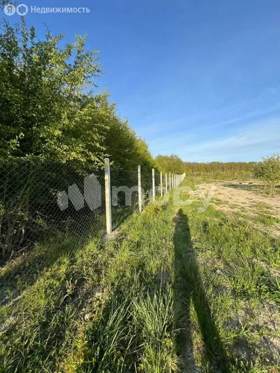 Участок в посёлок Нивенское, Яблочная улица (40 м) - Фото 2