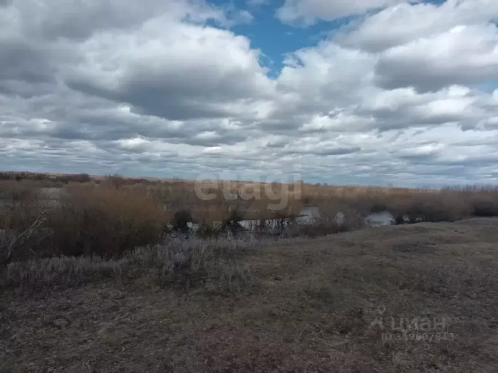 Участок в Тюменская область, Исетский район, д. Ботники Береговая ул. ... - Фото 0