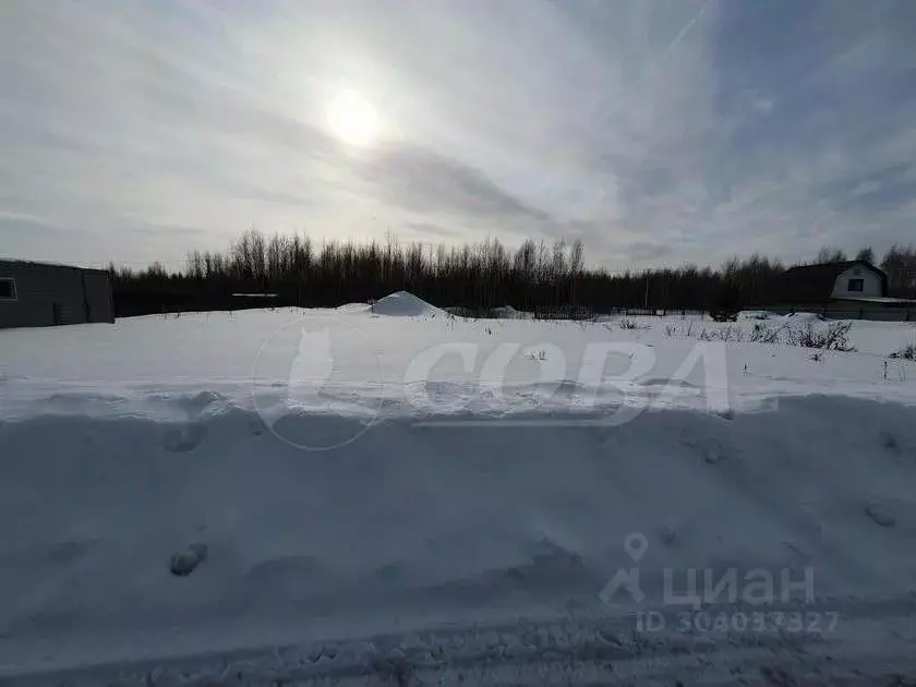 Участок в Тюменская область, Тобольск Восточный мкр, ул. Евгения ... - Фото 1