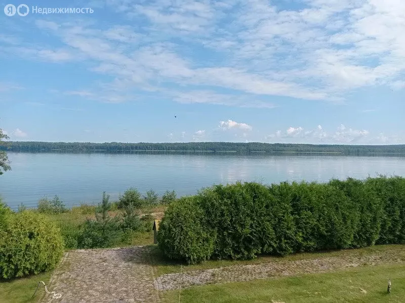 Участок в Псковский район, Карамышевская волость, село Карамышево ... - Фото 1