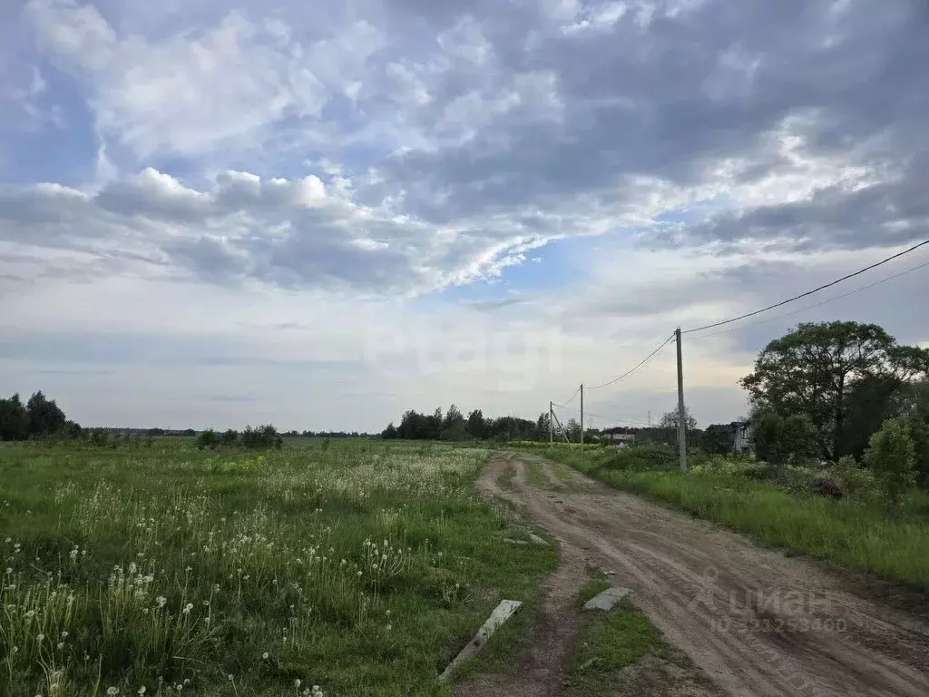 Участок в Ленинградская область, Ломоносовский район, Горбунковское ... - Фото 0