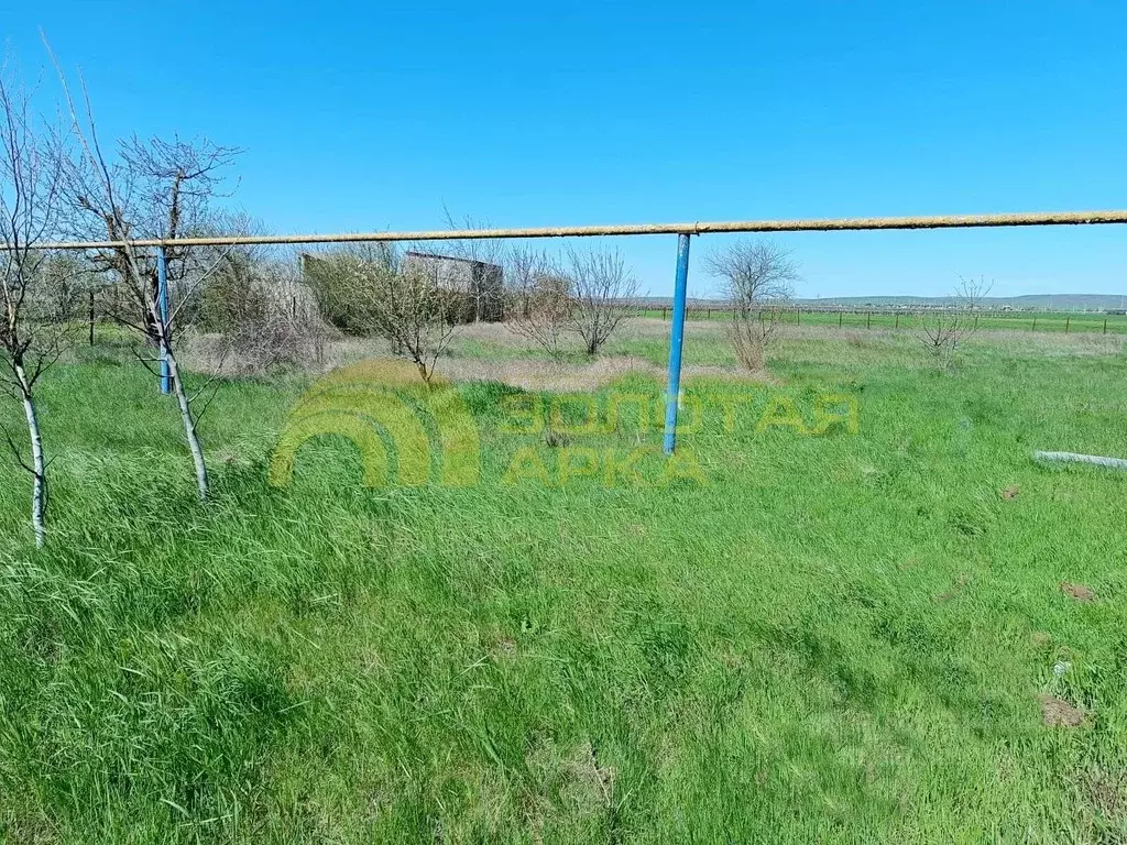 Участок в Краснодарский край, Темрюкский район, Новотаманское с/пос, ... - Фото 2