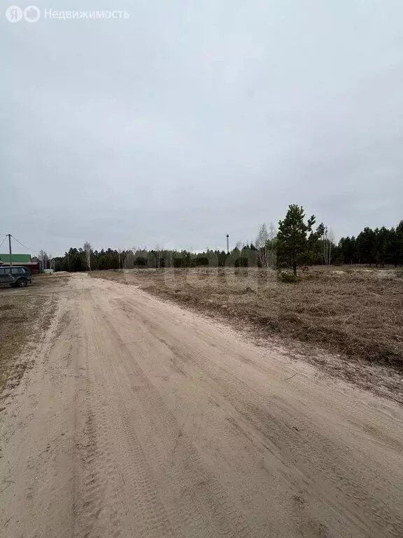 Участок в Курганская область, Кетовский муниципальный округ, посёлок ... - Фото 2