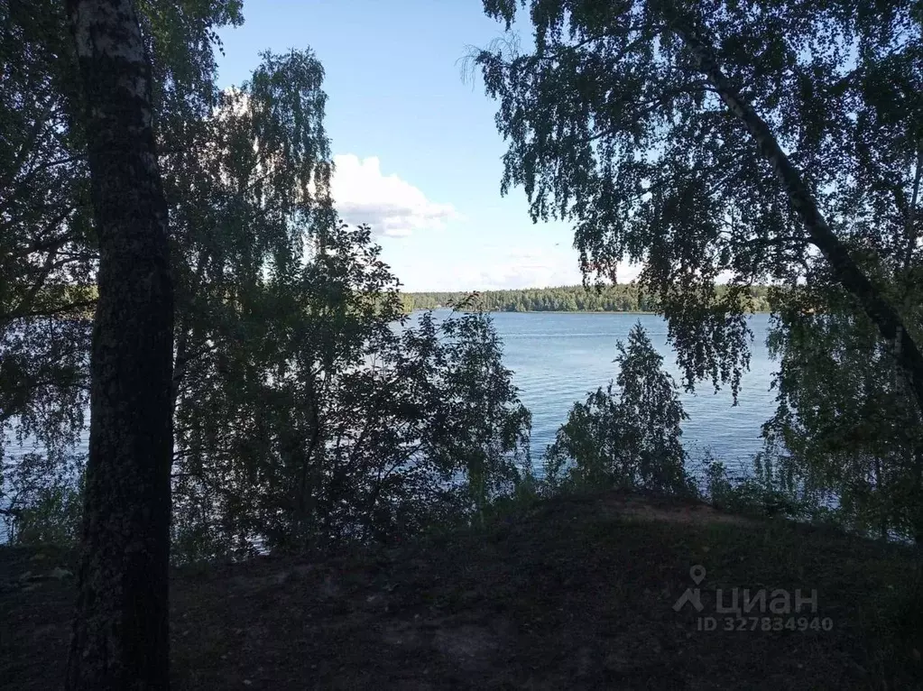 Участок в Московская область, Истра муниципальный округ, д. Лечищево  ... - Фото 1
