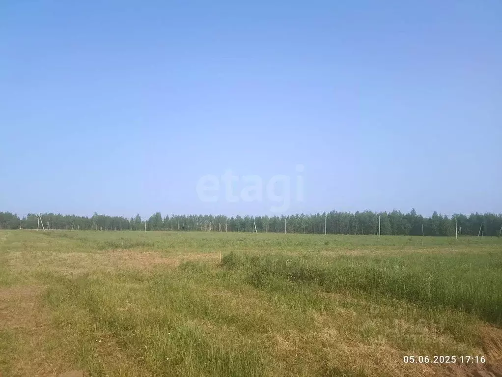 Участок в Костромская область, Кострома  (15.14 сот.) - Фото 2