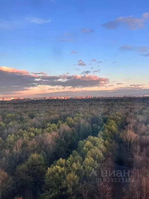 3-к кв. Московская область, Балашиха ул. Евстафьева, 1/9 (83.6 м) - Фото 1