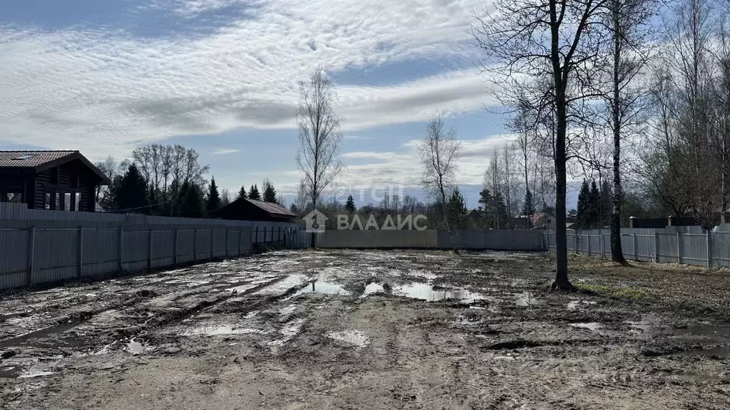 Участок в Московская область, Богородский городской округ, д. Пашуково ... - Фото 2