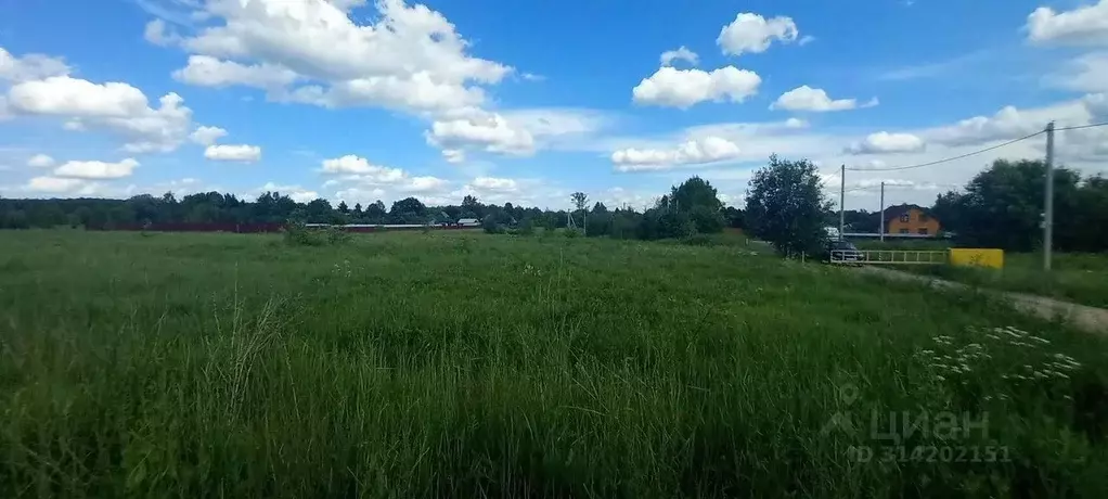 Участок в Владимирская область, Петушинский район, Пекшинское ... - Фото 1