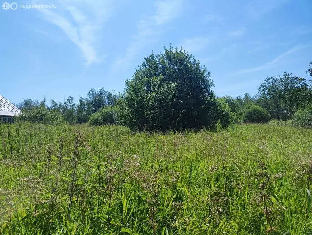 Участок в Новое Аннино, Новосельская улица, 19 (25 м) - Фото 0