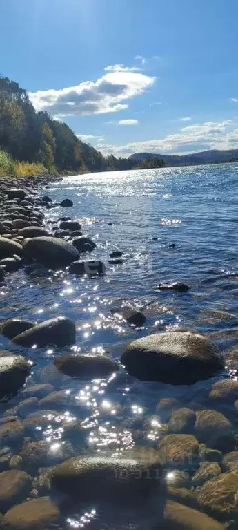 Участок в Алтай, Горно-Алтайск Береговая ул. (13.9 сот.) - Фото 0