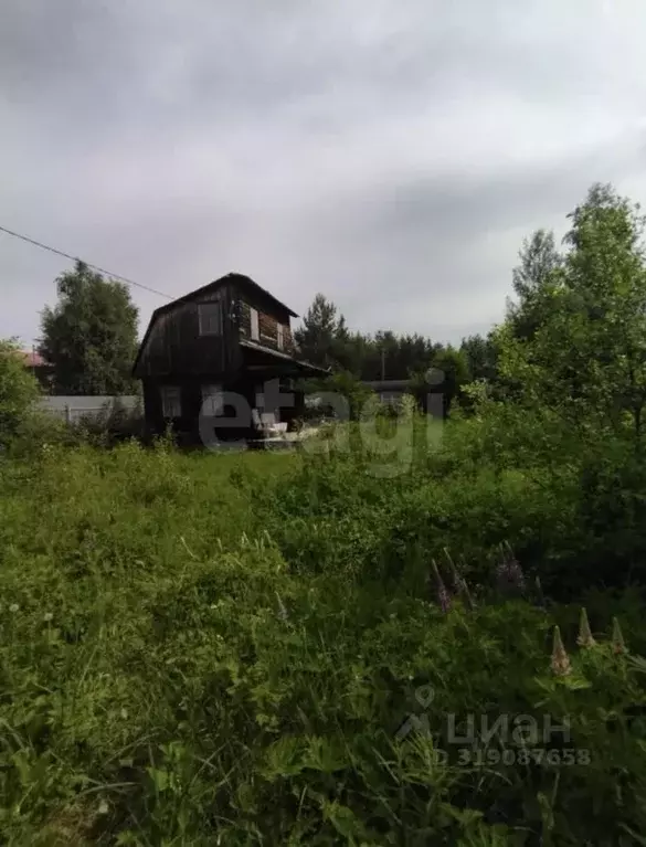 Участок в Ханты-Мансийский АО, Сургут Виктория садовое товарищество, ... - Фото 0