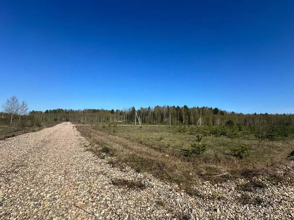 Участок в Владимирская область, Александровский район, Андреевское ... - Фото 1