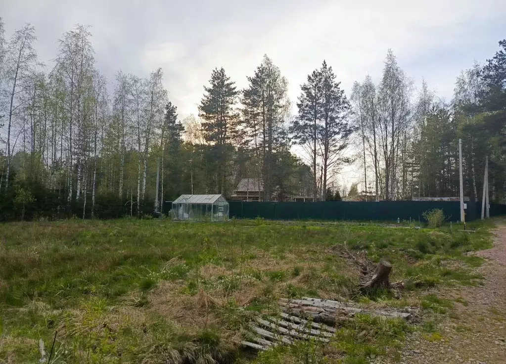 Участок в Ленинградская область, Ломоносовский район, Лебяженское ... - Фото 2