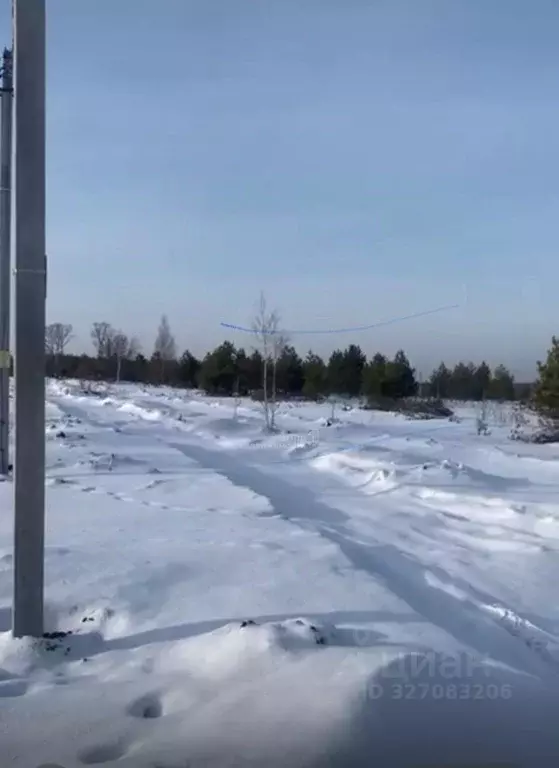 Участок в Татарстан, Верхнеуслонский район, с. Нижний Услон  (10.0 ... - Фото 1