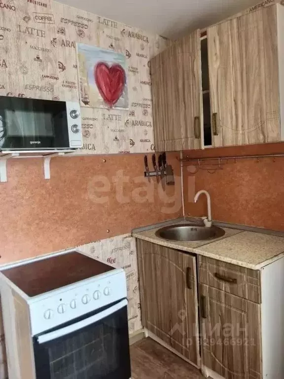 1-к кв. Тюменская область, Тюмень ул. 30 лет Победы, 142 (33.5 м) - Фото 1