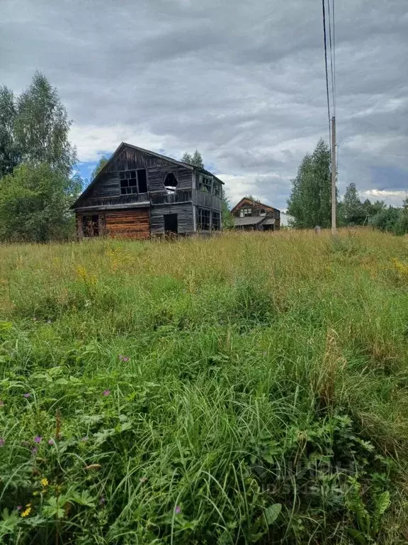 Участок в Тверская область, Селижаровский муниципальный округ, д. ... - Фото 2