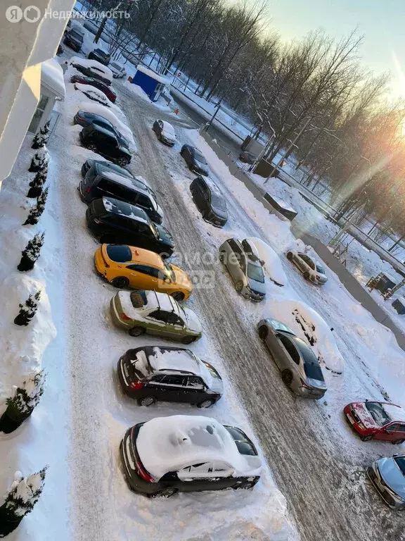 Квартира-студия: посёлок Газопровод, 5-я улица Лесные Поляны, 29 (22 ... - Фото 2