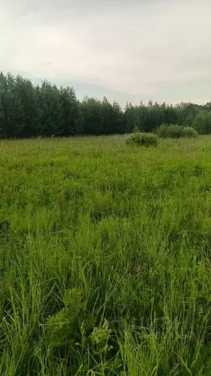 Участок в Владимирская область, Собинский муниципальный округ, с. ... - Фото 2