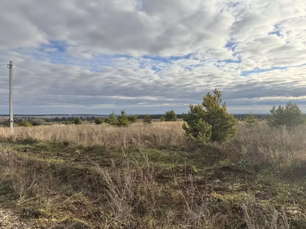 Участок в Удмуртия, Ижевск проезд Ориентовый, 2 (10.0 сот.) - Фото 1