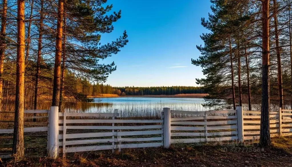 Участок в Московская область, Дмитровский муниципальный округ, ... - Фото 1