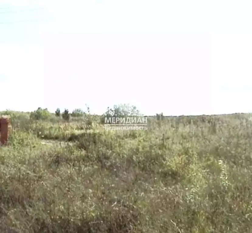 Участок в Нижегородская область, Богородский муниципальный округ, д. ... - Фото 0