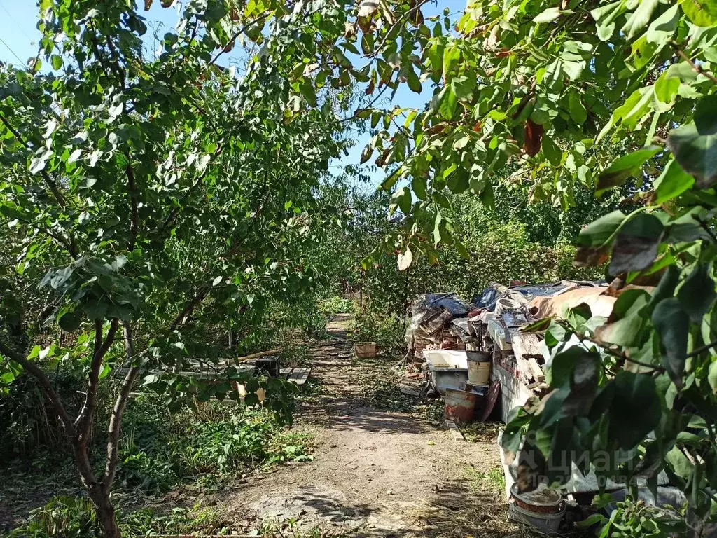 Участок в Астраханская область, Приволжский район, Надежда садовое ... - Фото 1