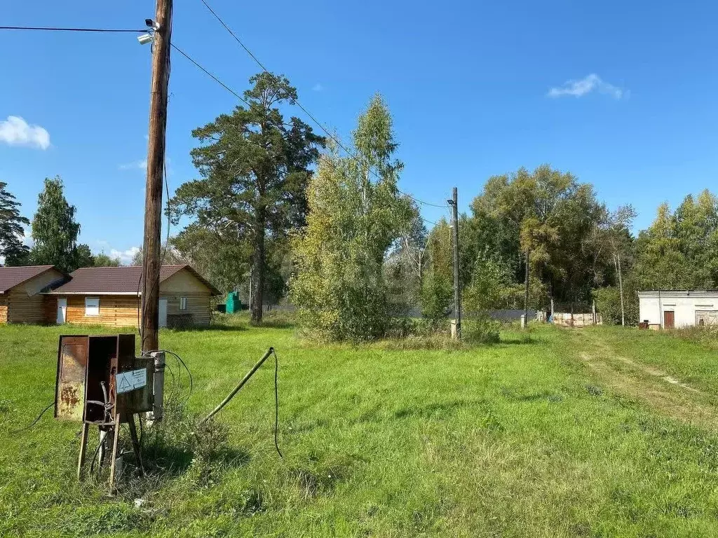 Участок в Новосибирская область, Ордынский район, с. Спирино  (36.2 ... - Фото 1