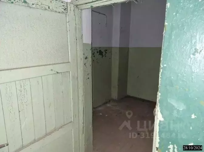 Помещение свободного назначения в Нижегородская область, Нижний ... - Фото 0