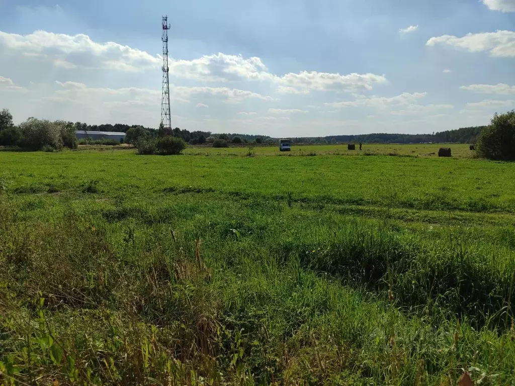 Участок в Московская область, Орехово-Зуевский городской округ, д. ... - Фото 0