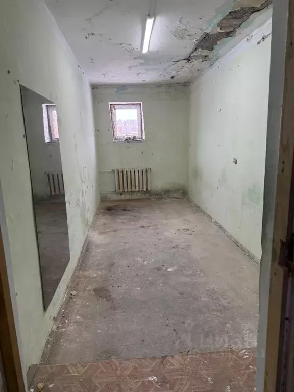 Помещение свободного назначения в Новосибирская область, Новосибирский ... - Фото 1