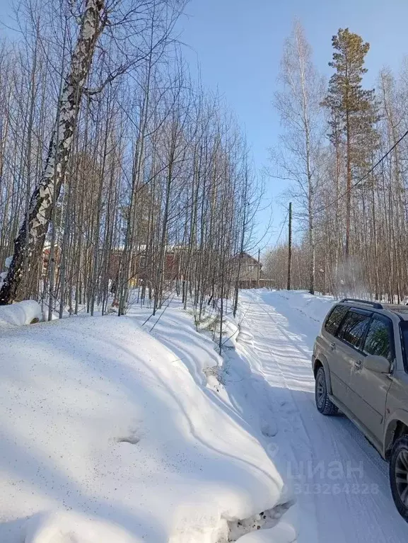 Участок в Иркутская область, Иркутский муниципальный округ, д. ... - Фото 1