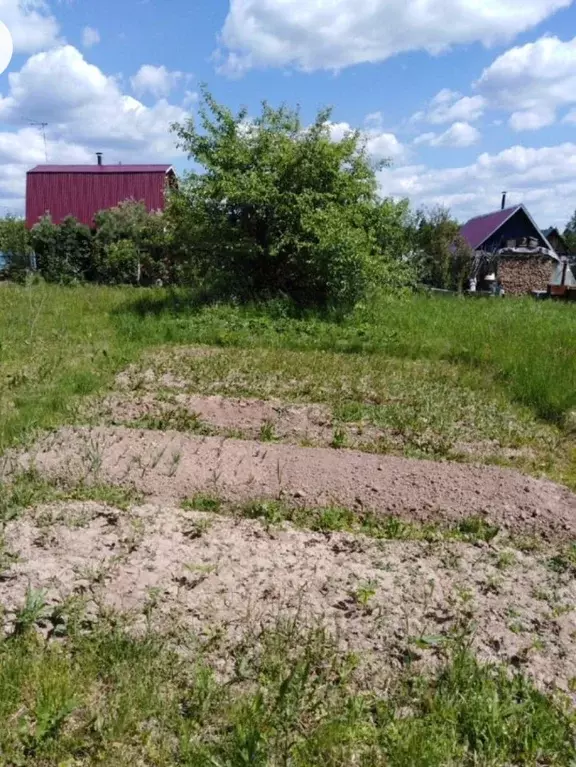 Погода янычи пермский край. Деревня Янычи Пермский край. Село Янычи Пермский район. СНТ Лесное Янычи. Деревня Янычи председатель.