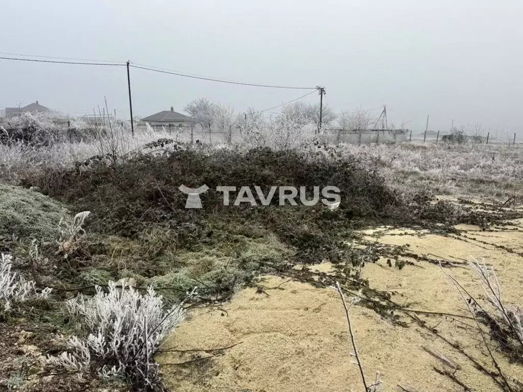 Участок в Крым, Симферопольский район, Чистенское с/пос, Строитель ... - Фото 2