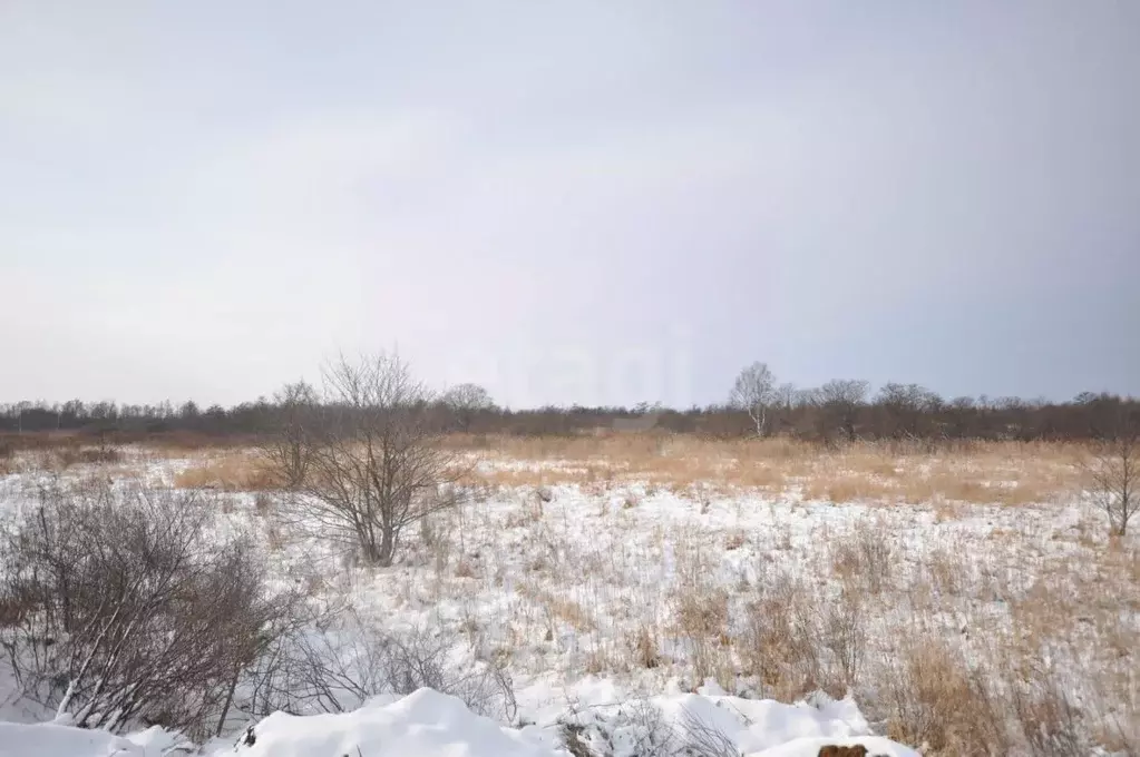 Участок в Сахалинская область, Анивский городской округ, с. Мицулевка  ... - Фото 1