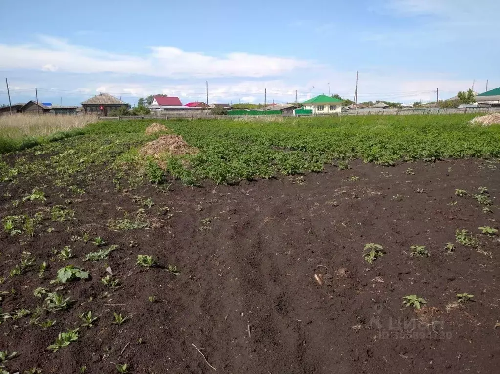 Дом в Курганская область, Шатровский муниципальный округ, с. ... - Фото 0