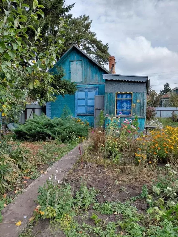 Дом в Омская область, Омск СОСН Рябинка тер., 64 (23 м) - Фото 1