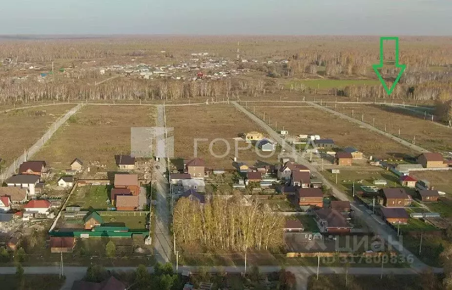Участок в Новосибирская область, Новосибирский район, Кубовинский ... - Фото 0