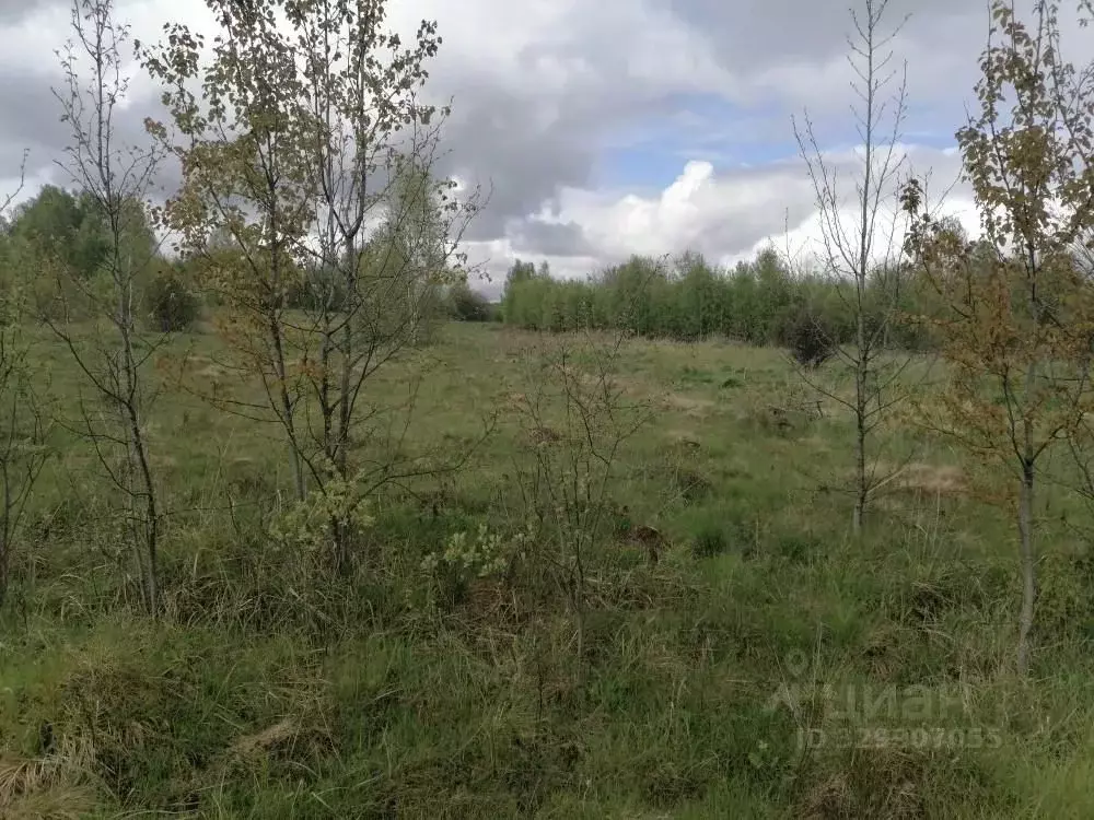 Участок в Владимирская область, Киржачский муниципальный округ, д. ... - Фото 1
