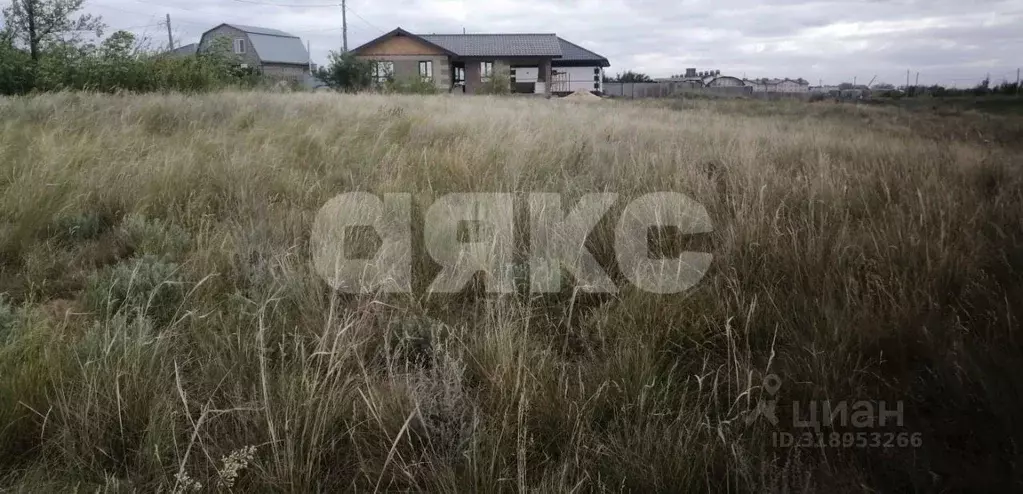 Участок в Волгоградская область, Городищенский район, Царицынское ... - Фото 1