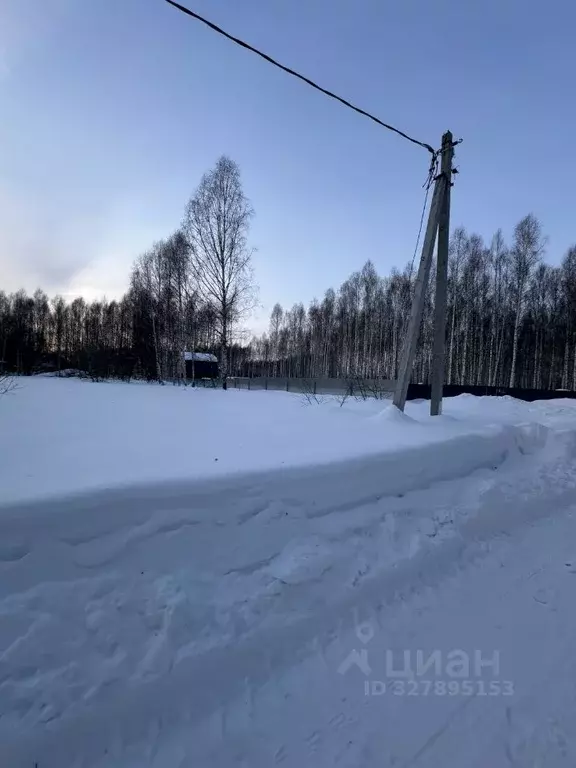 Участок в Нижегородская область, Богородский муниципальный округ, д. ... - Фото 2
