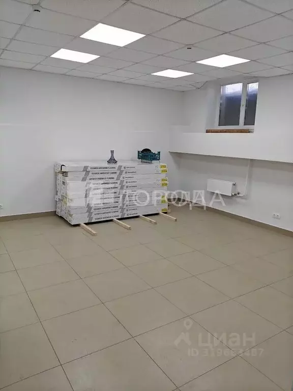 Помещение свободного назначения в Новосибирская область, Новосибирск ... - Фото 0