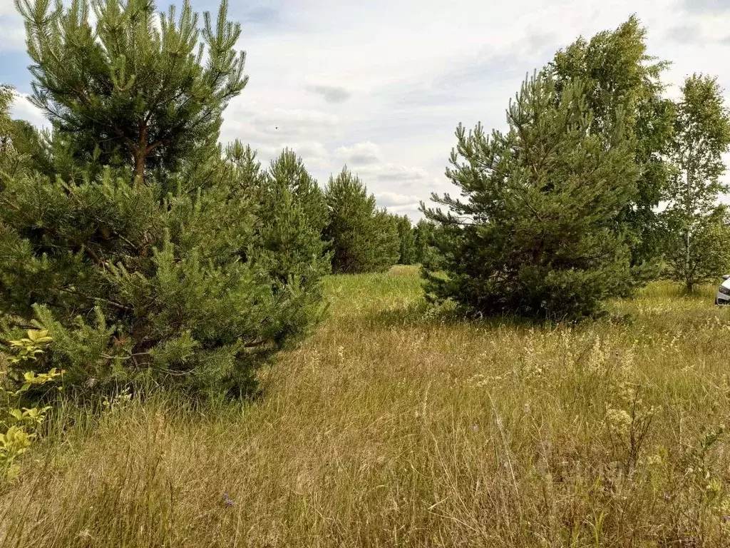 Участок в Нижегородская область, Сокольский городской округ, д. ... - Фото 1