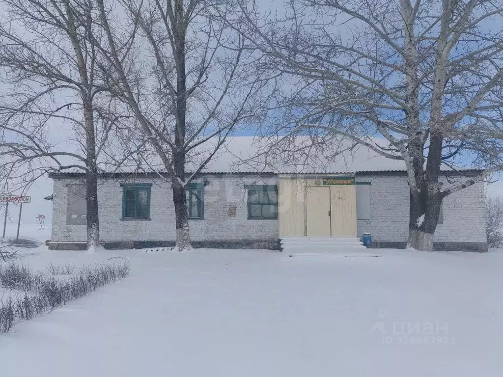 Торговая площадь в Белгородская область, Вейделевский район, ... - Фото 2