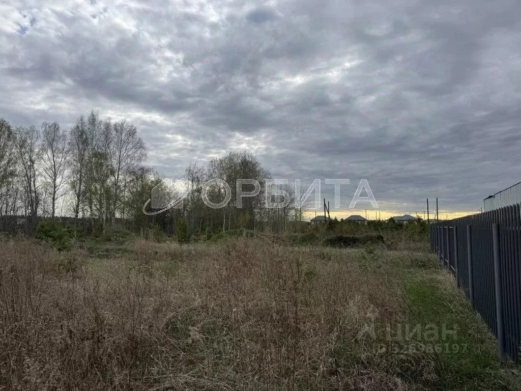 Участок в Тюменская область, Ялуторовский муниципальный округ, с. ... - Фото 2