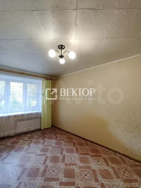 1-к. квартира, 30 м, 1/5 эт. - Фото 1