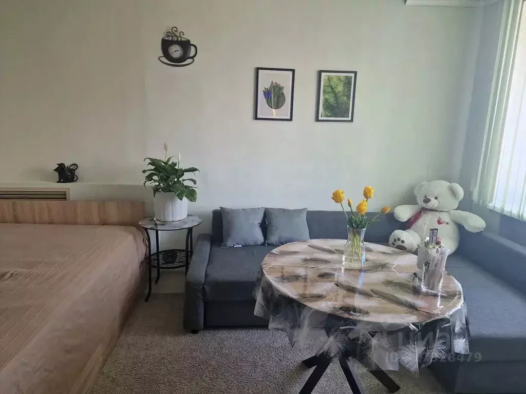 Студия Татарстан, Казань Ботаническая ул., 23/31к2 (27.0 м) - Фото 0