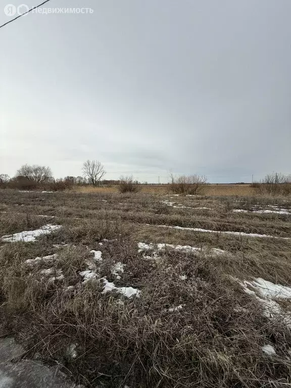 Участок в Курманаково, Центральная улица (8 м) - Фото 0